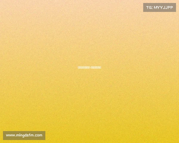 国际足联顶级赛事-国际足联的比赛