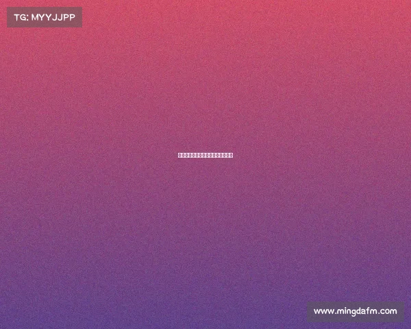 排球有什么专业赛事排球有什么项目